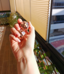 rosegold 3 cm